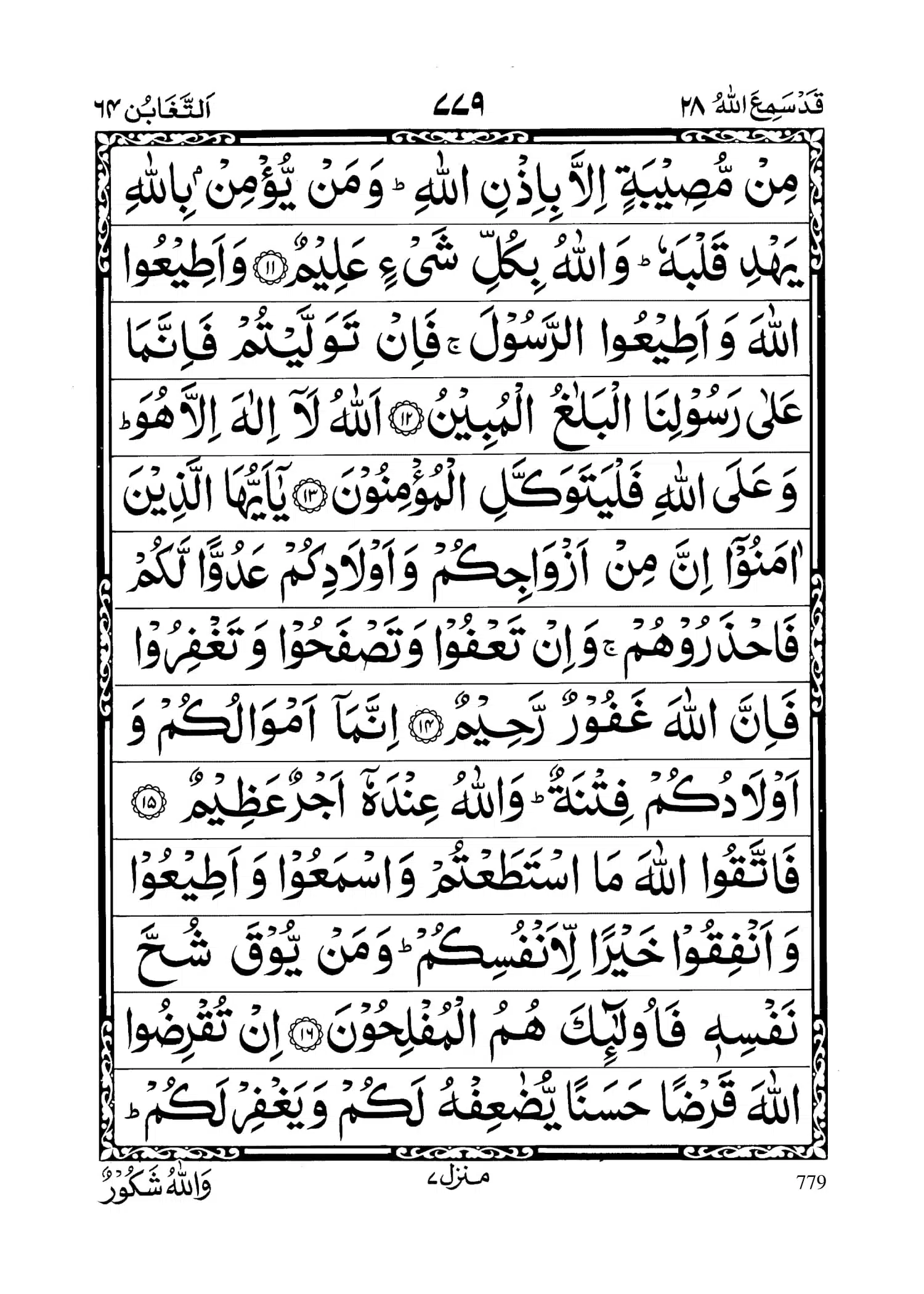 surah-taghabun-pdf